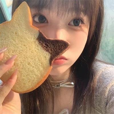 麻烦专家